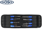 GOSO 10 Pieces Lock Pick Set